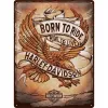 Plakat 30x40 Harley Davidson Born 23317