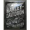 Plakat 30x40 Harley Davidson Eagle 23301