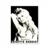 Magnes Brigitte Bardot - Portrait 14067