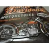 Plakat 30x40cm Harley-Davidson Tim 23279
