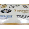 Plakat 30x40 Triumph Logo Evolutio 23314