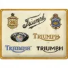 Plakat 30x40 Triumph Logo Evolutio 23314