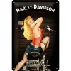 Plakat 20x30 Harley-Davidson Babe 22214