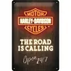 Plakat 20x30 Harley-Davidson Neon 22294