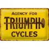 Plakat 20x30 Triumph Agency for 22422