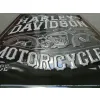 Plakat 30x40 Harley Davidson Eagle 23301