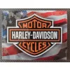 Magnes Harley-Davidson USA Logo 14226