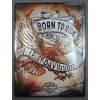 Plakat 30x40 Harley Davidson Born 23317