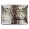 Plakat metalowy 30x40 cm Michelin Logo Evolution 23359