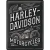 Plakat 30x40 Harley Davidson Eagle 23301