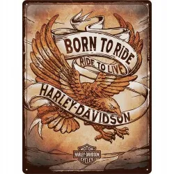 Plakat 30x40 Harley Davidson Born 23317
