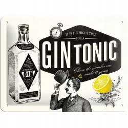 Plakat 15 x 20cm Gin Tonic 26168