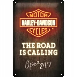 Plakat 20x30 Harley-Davidson Neon 22294