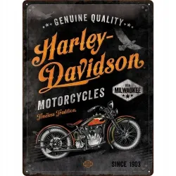 Plakat 30x40cm Harley-Davidson Tim 23279
