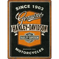 Plakat 30x40 Harley-Davidson Ribbo 23360