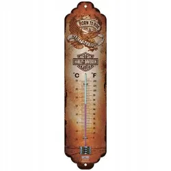 Termometr Harley-Davidson Born 80361