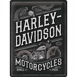 Plakat 30x40 Harley Davidson Eagle 23301