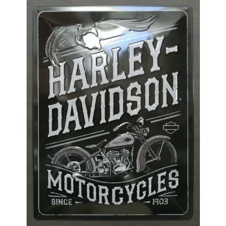 Plakat 30x40 Harley Davidson Eagle 23301