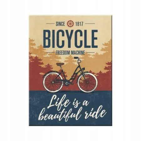 Magnes Bicycle - Beautiful Ride 14392