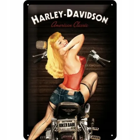 Plakat 20x30 Harley-Davidson Babe 22214
