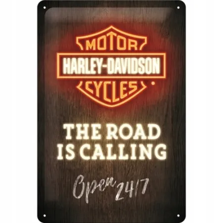 Plakat 20x30 Harley-Davidson Neon 22294