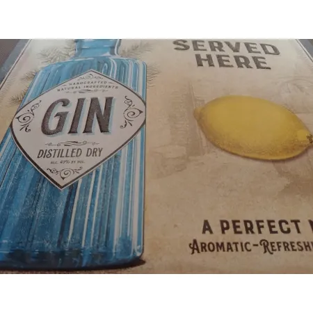 Plakat 30x40cm Gin & Tonic Served 23273