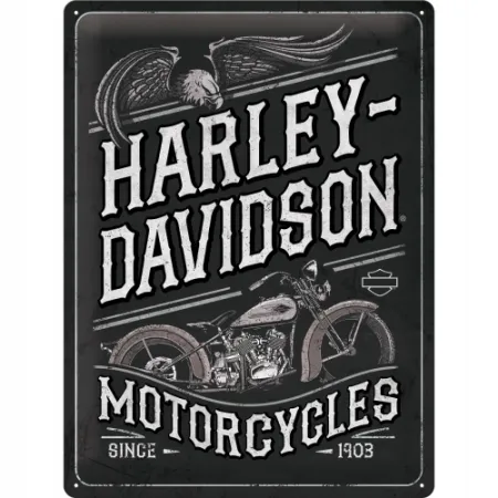 Plakat 30x40 Harley Davidson Eagle 23301