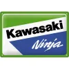 Plakat metalowy 20x30 cm Kawasaki Ninja 22445
